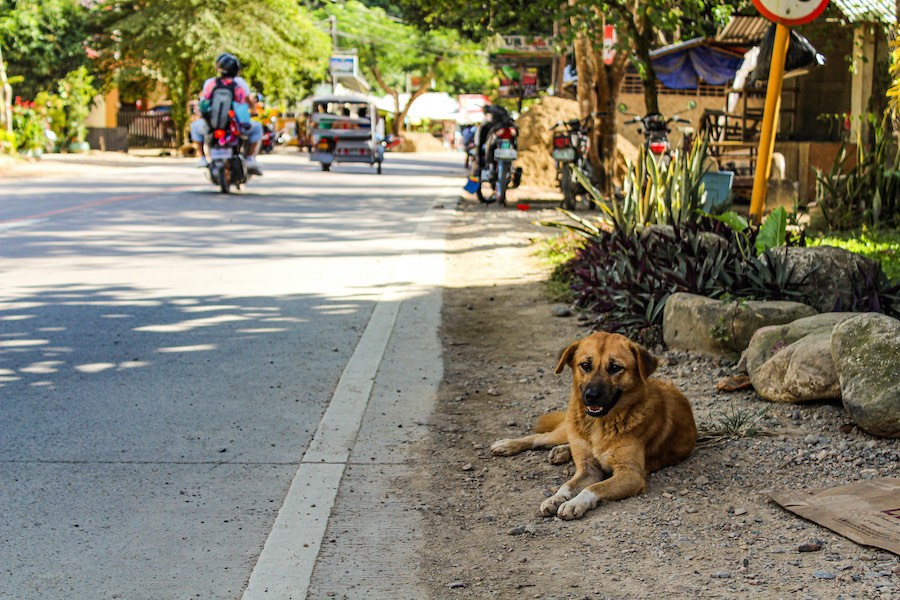 Slow down while driving in Palawan's populated areas